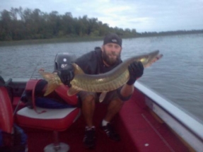 2014_labor_day_catch_36_musky_caught__released_20140901_1062896864