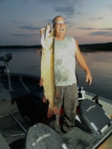 august_13_2015_485__musky_caught__released_20150814_1691720838