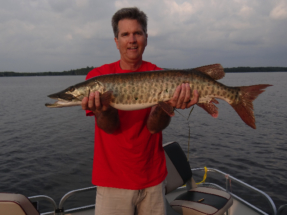 july_22_2014_39__musky_caught__released_20140724_1537105026