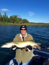 sept_2015_musky_caught__released_20150912_1425499584