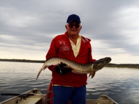 sept_27_2015_-_40_musky_caught__released_20150928_1744415552